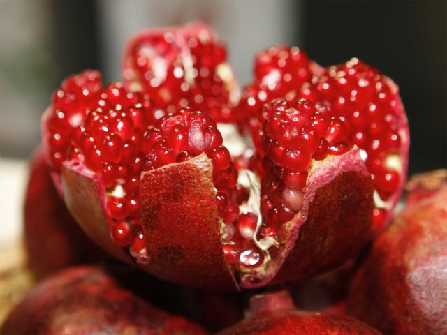 A romã tem origem europeia. fruta-roma