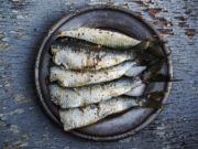 benefícios da sardinha