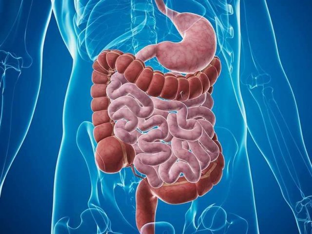 sindrome-do-intestino-irritavel