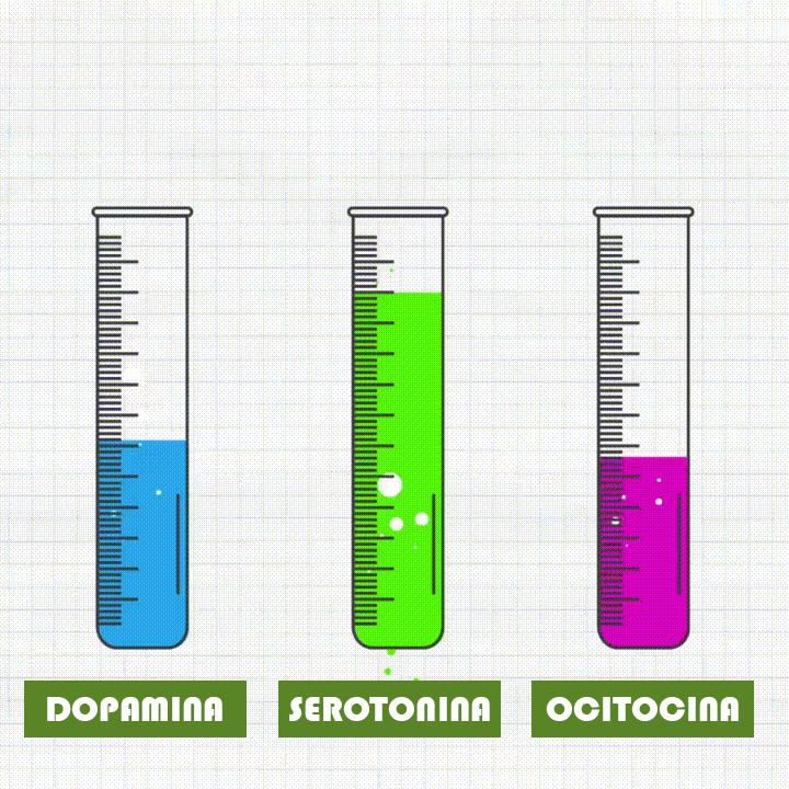 Serotonina - Todos os direitos reservados a Saudável e Feliz ©